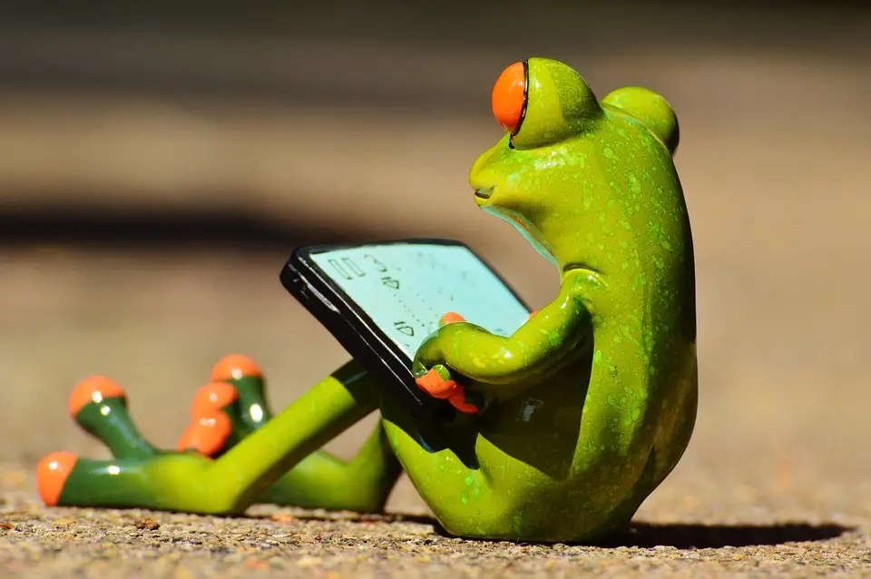 Kontakt Reinigungsfirma Sauber